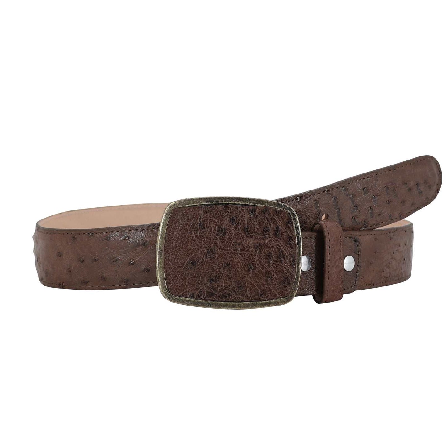 El Malcreado Brown Genuine Ostrich Belt 1.5" Handmade