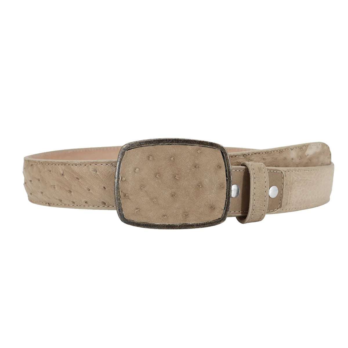 El Malcreado Oryx Genuine Ostrich Belt 1.5" Handmade