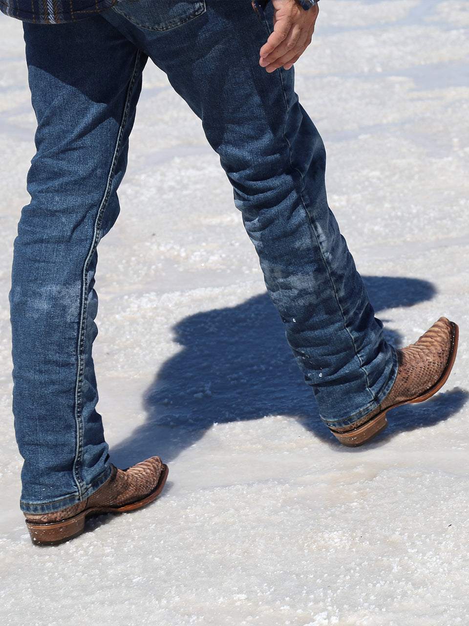 Men's Corral Brown Genuine Python Boots with Embroidery Lamb Shaft