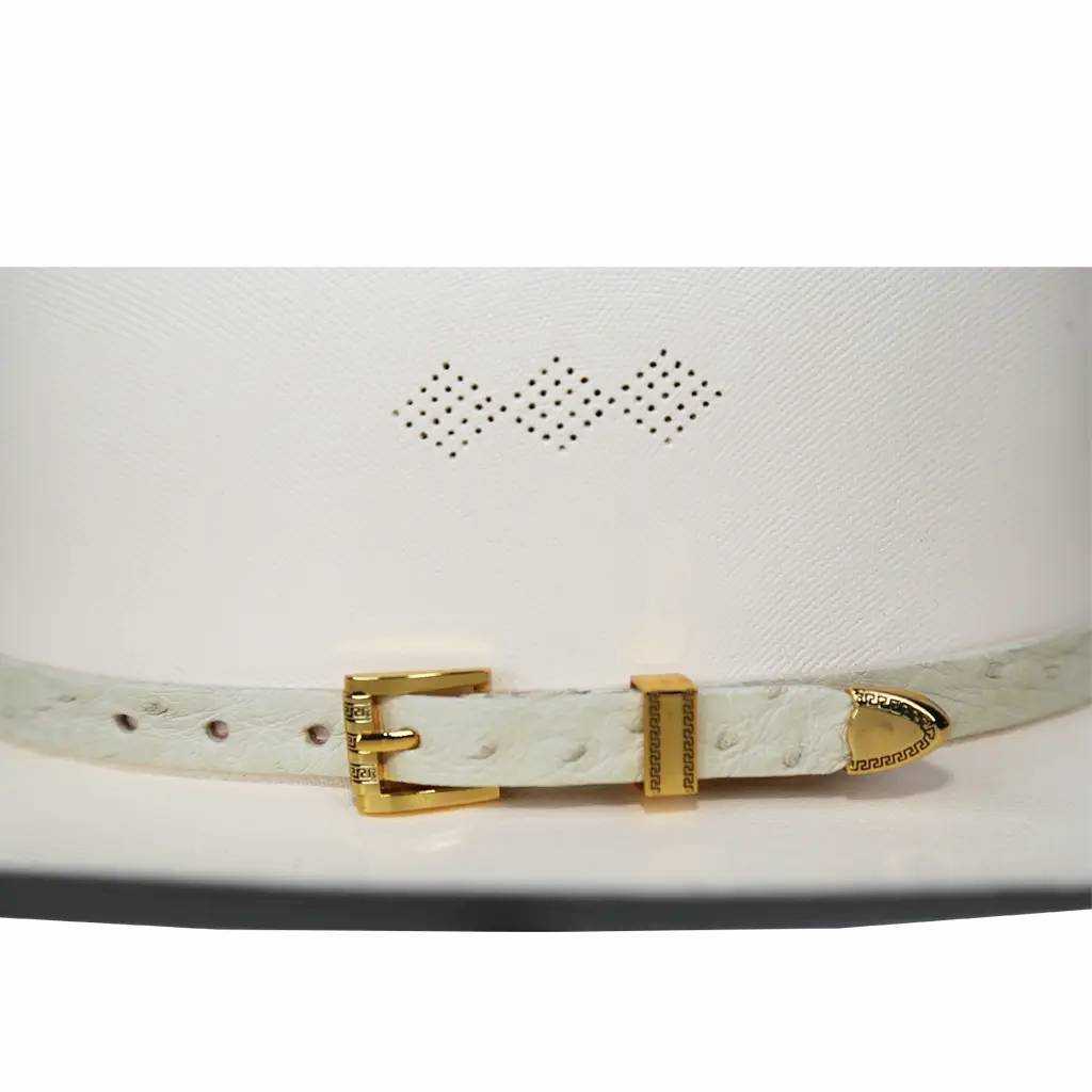Handmade ostrich cowboy hat band with gold plated 3-piece buckle set and genuine leather lining