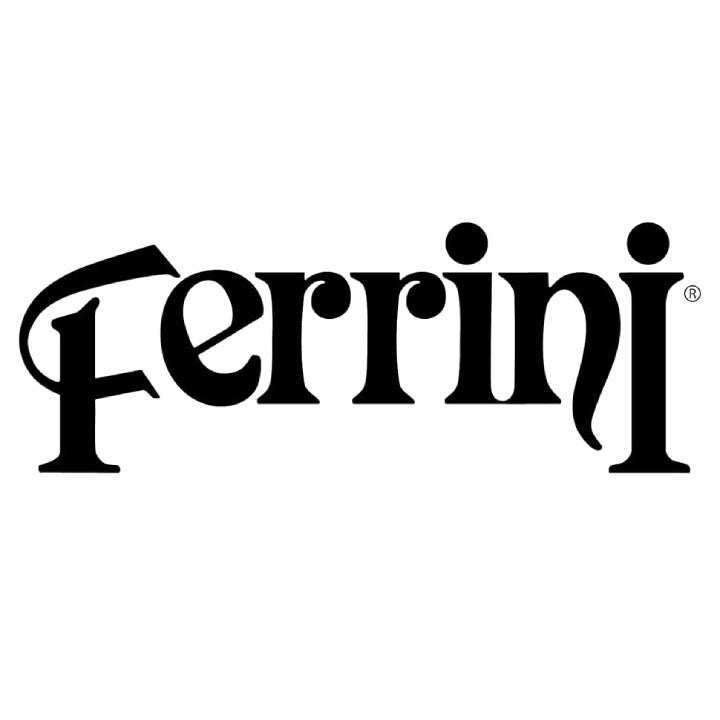 The image shows the word Ferrini in bold, stylized black text on a white background. The letters have a unique, artistic design, with some curves and decorative elements.