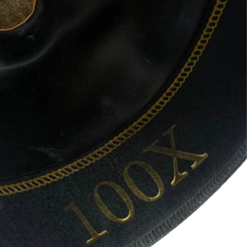 100x Larry Mahan Independencia Cowboyhut aus Pelzfilz, Platin
