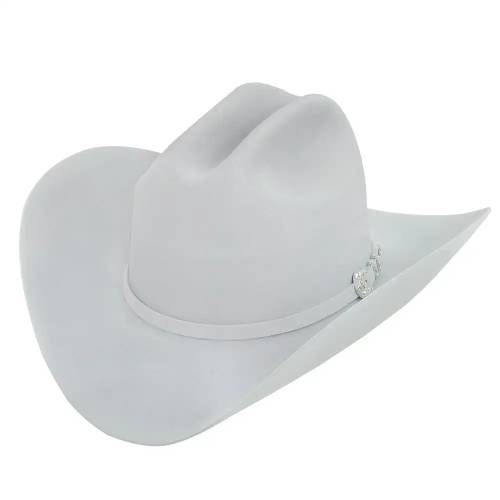 10x Sombrero vaquero de fieltro de piel Larry Mahan Tucson platino