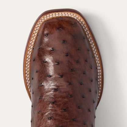 Men's Stetson Ozzy Ostrich Boots Handcrafted JBS Collection Brown