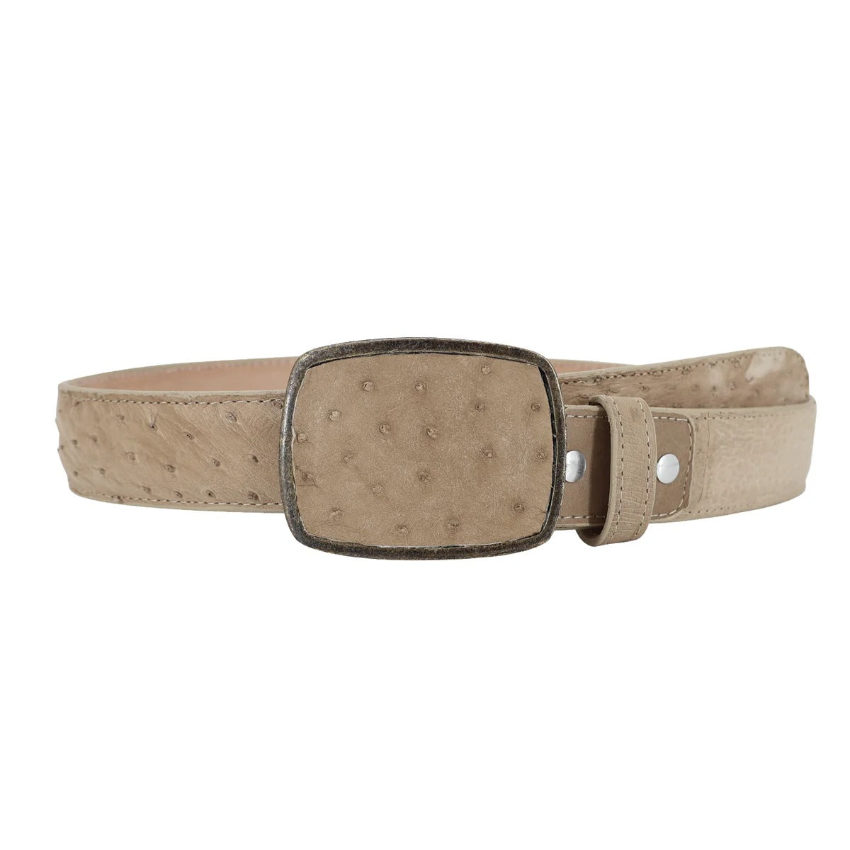 El Malcreado Oryx Genuine Ostrich Belt 1.5" Handmade
