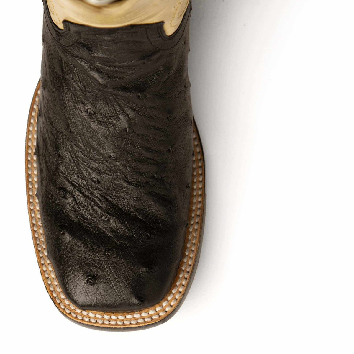 Ferrini Colt Full Quill Ostrich Boots with a black textured vamp, tan leather trim, and contrasting stitched square toe