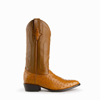 Ferrini Colt Full Quill Ostrich Boots in cognac leather, featuring a quill-textured vamp, embroidered shaft and cowboy heel