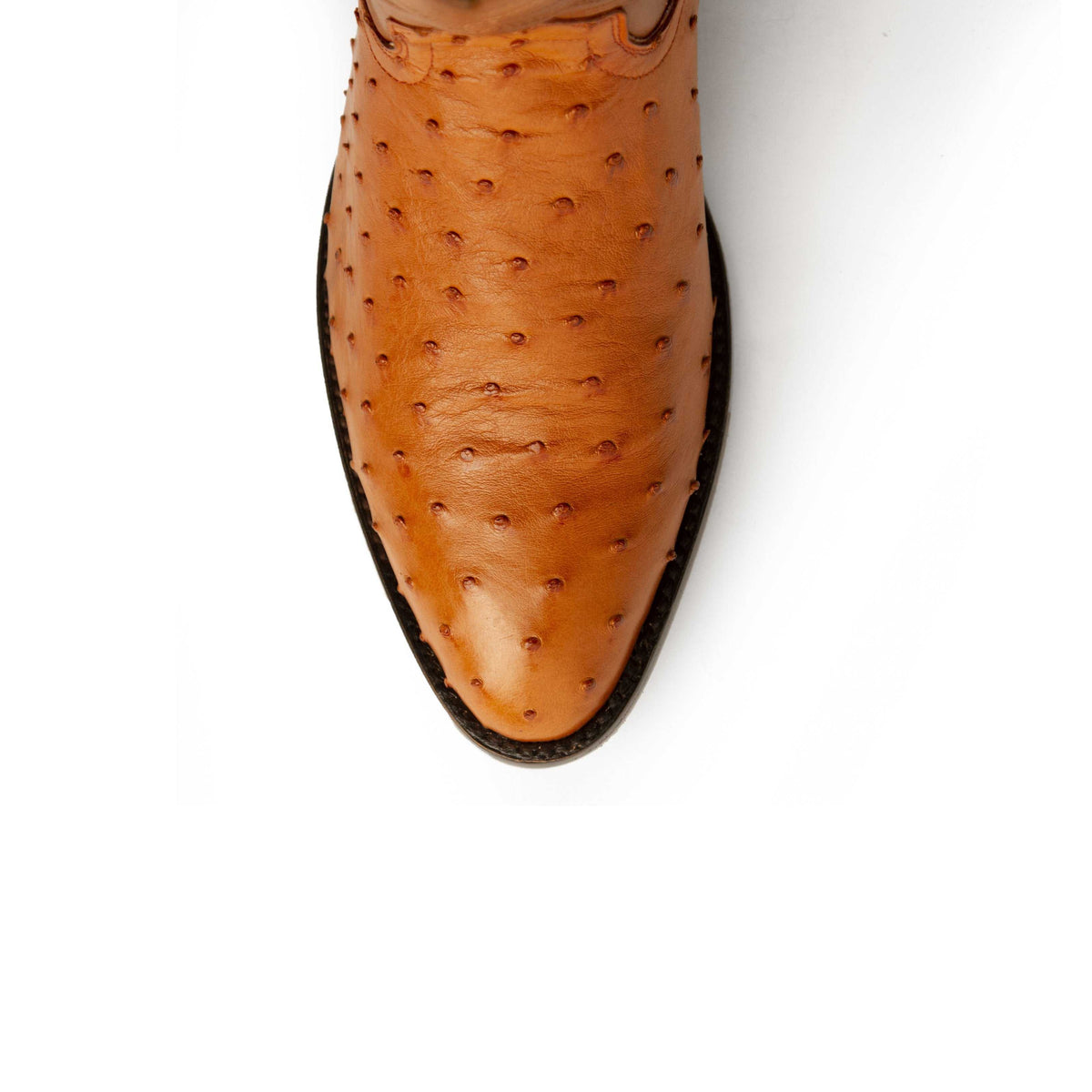 Ferrini Colt Full Quill Ostrich Boots in cognac leather, featuring distinctive raised quill texture and a medium round toe