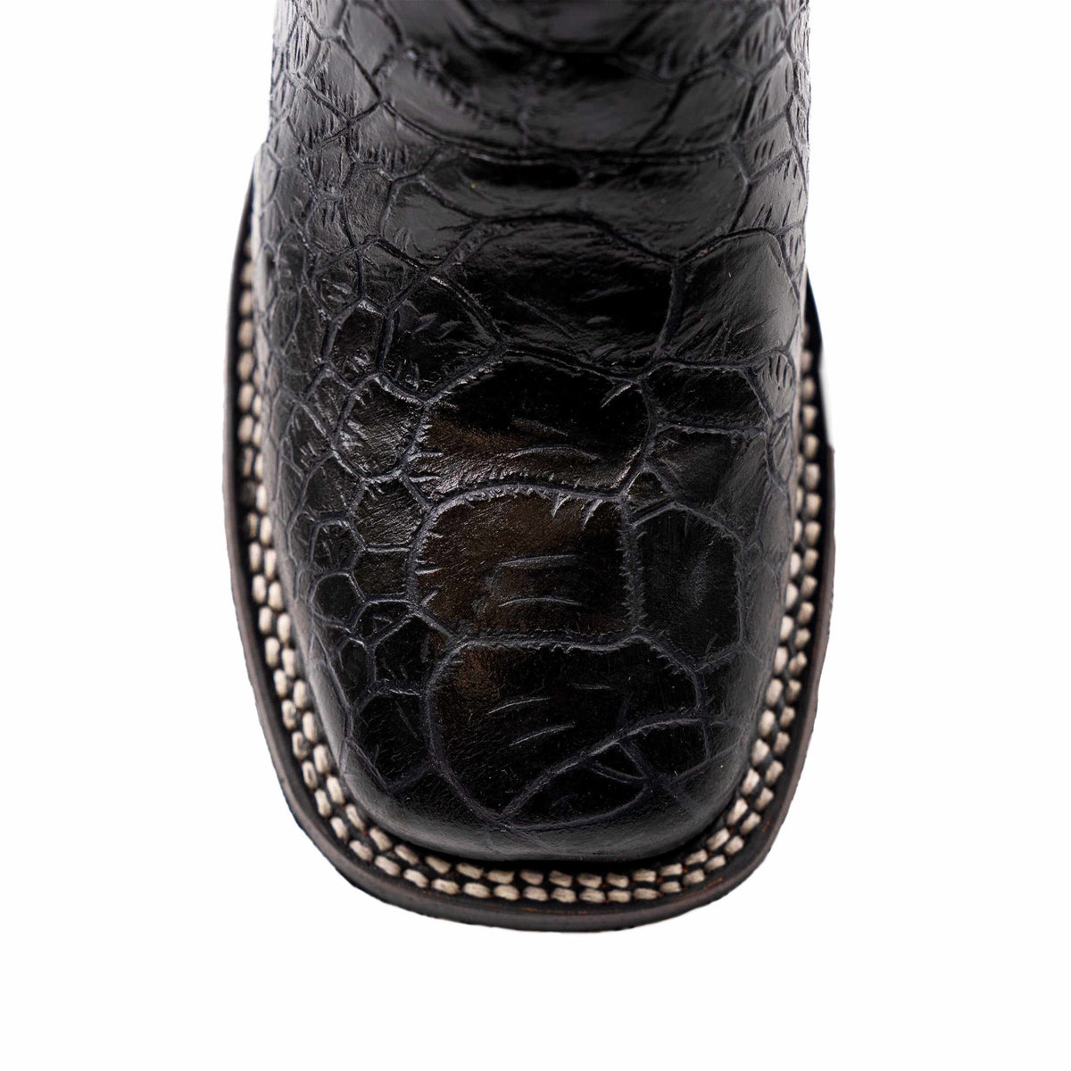 Ferrini Kai Sea Turtle PRINT Boots in glossy black with a raised reptile-scale print and contrasting cream stitching