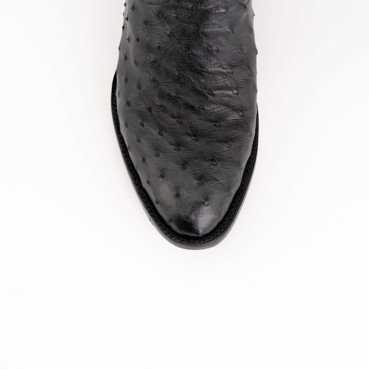 Men's Ferrini Colt boot in black full-quill ostrich leather, showing distinctive raised quill follicles and a rounded toe