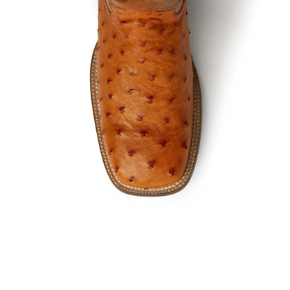Men's Ferrini Colt boot with a cognac full quill ostrich leather vamp, textured quills and stitched square toe.